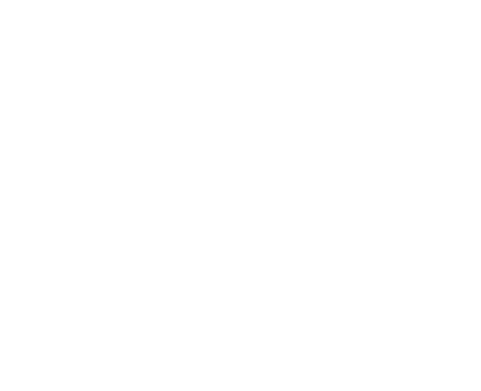 Ayala Grupo Inmobiliario